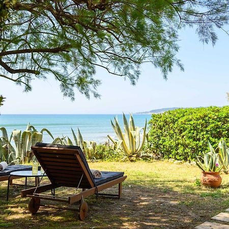 Salty Noses Beach House Paradise Perfect For Families Pírgos エクステリア 写真